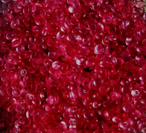 (image for) Pomegranate Home Fragrance Aroma Beads - Click Image to Close